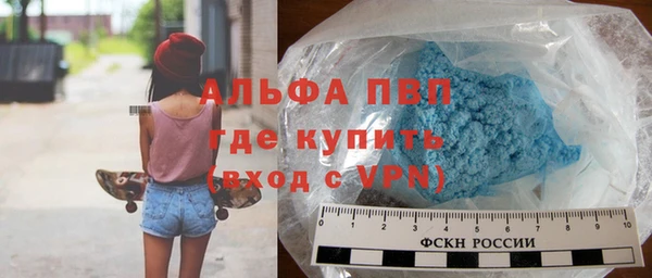 ешки Богданович