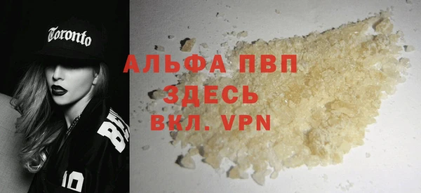 ешки Богданович