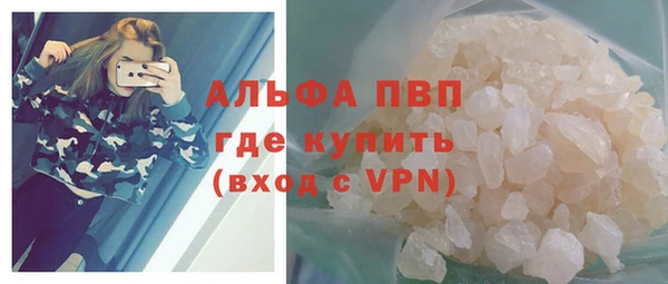 ешки Богданович