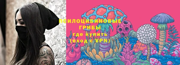 круглые Богородицк