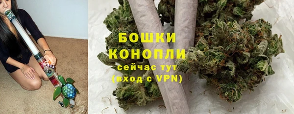 СК Белокуриха