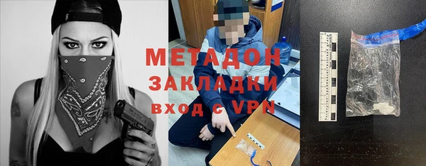 прущие грибы Сосновоборск