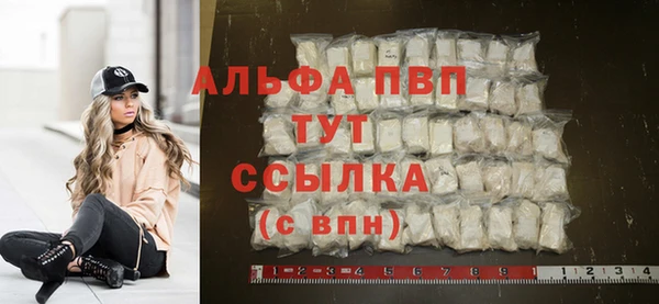 ешки Богданович